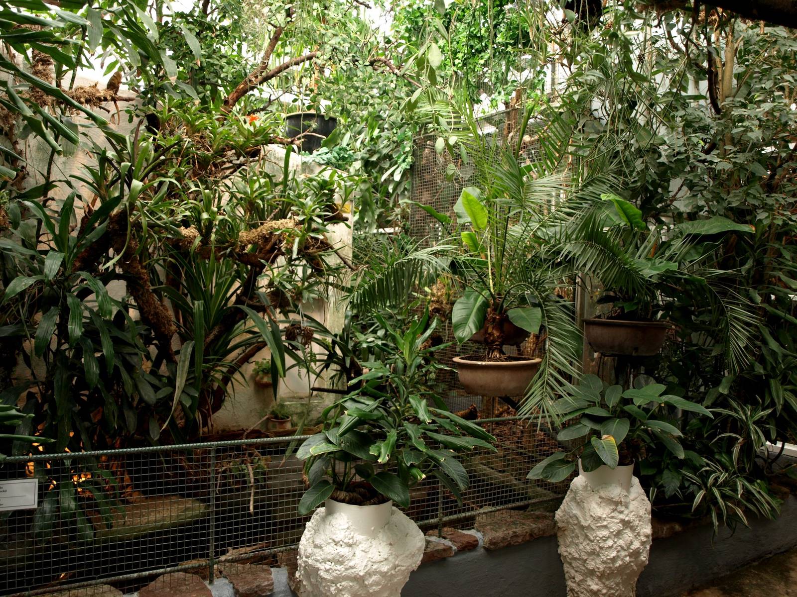 Malmoe Reptile Center - Monkey house