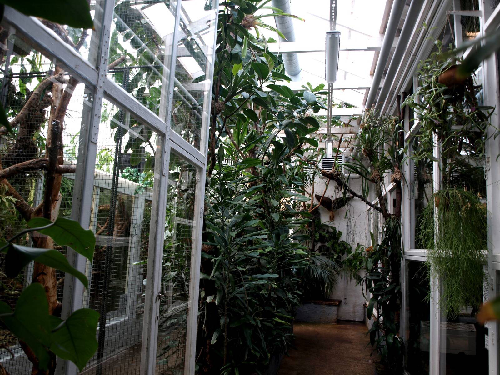 Malmoe Reptile Center - Monkey house