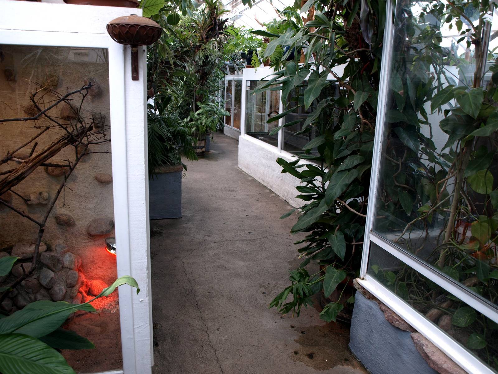 Malmoe Reptile Center - Terraria