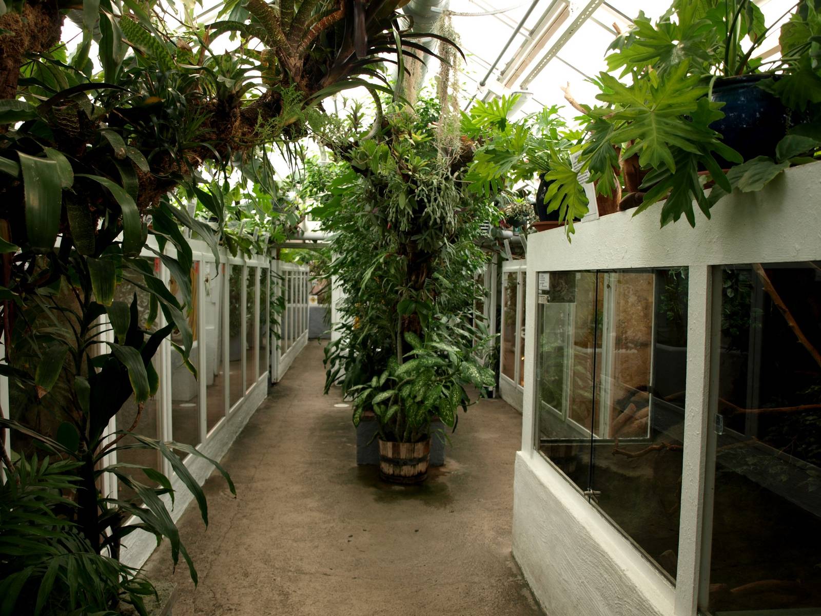 Malmoe Reptile Center - Terraria