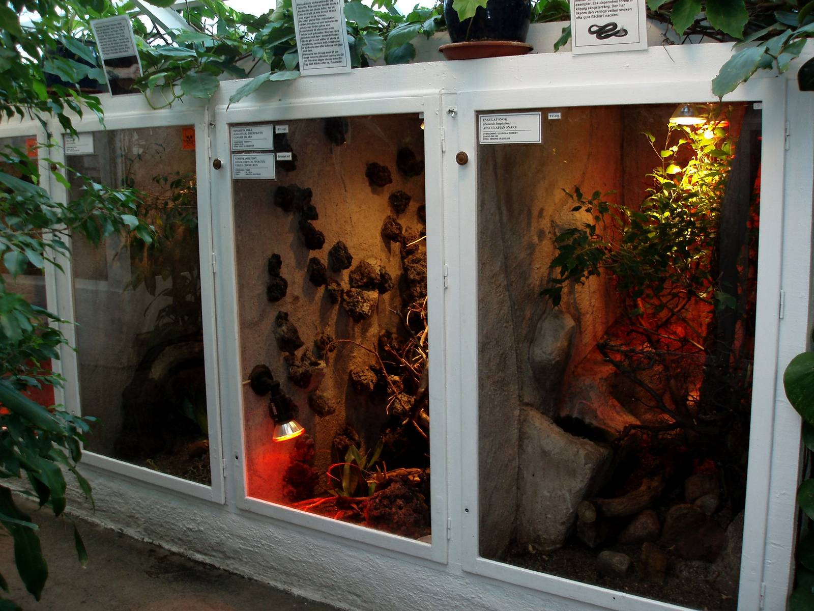 Malmoe Reptile Center - Terraria