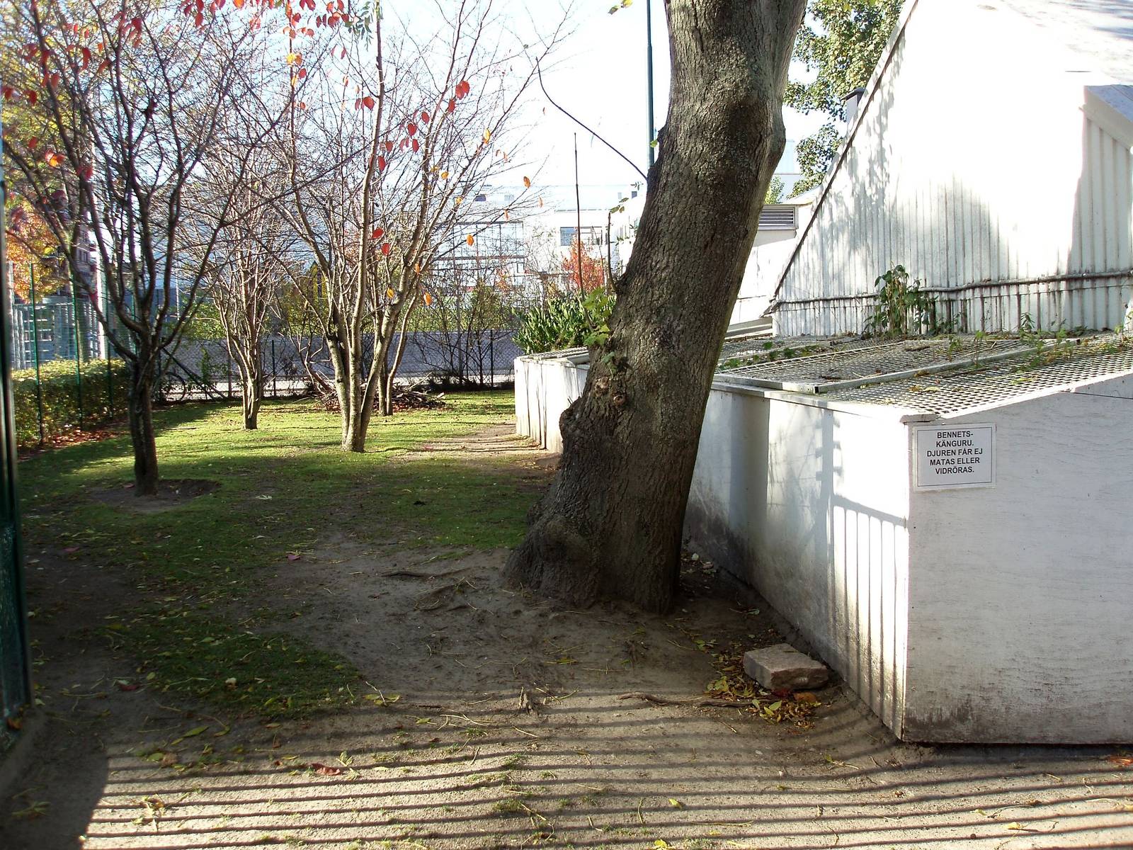 Malmoe Reptile Center - Wallaby exhibit