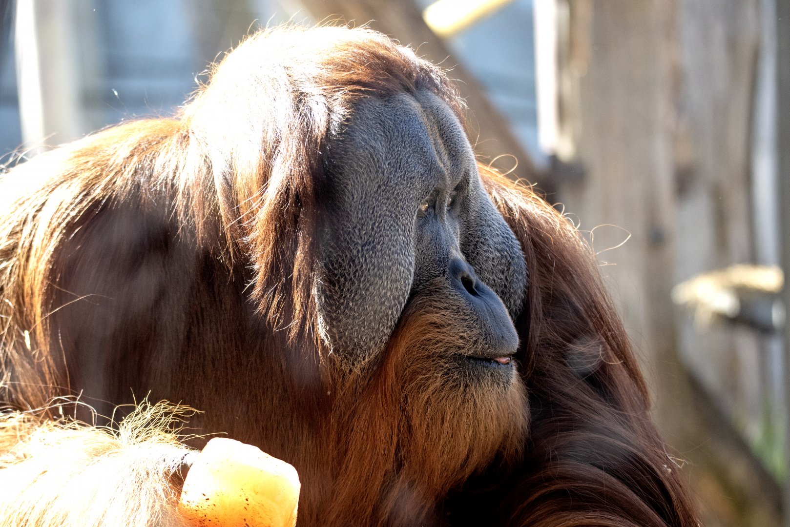 Malu on his 19th birthday