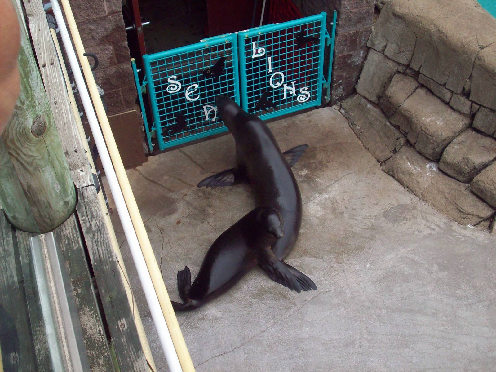Mama & Baby wait for the show to start.