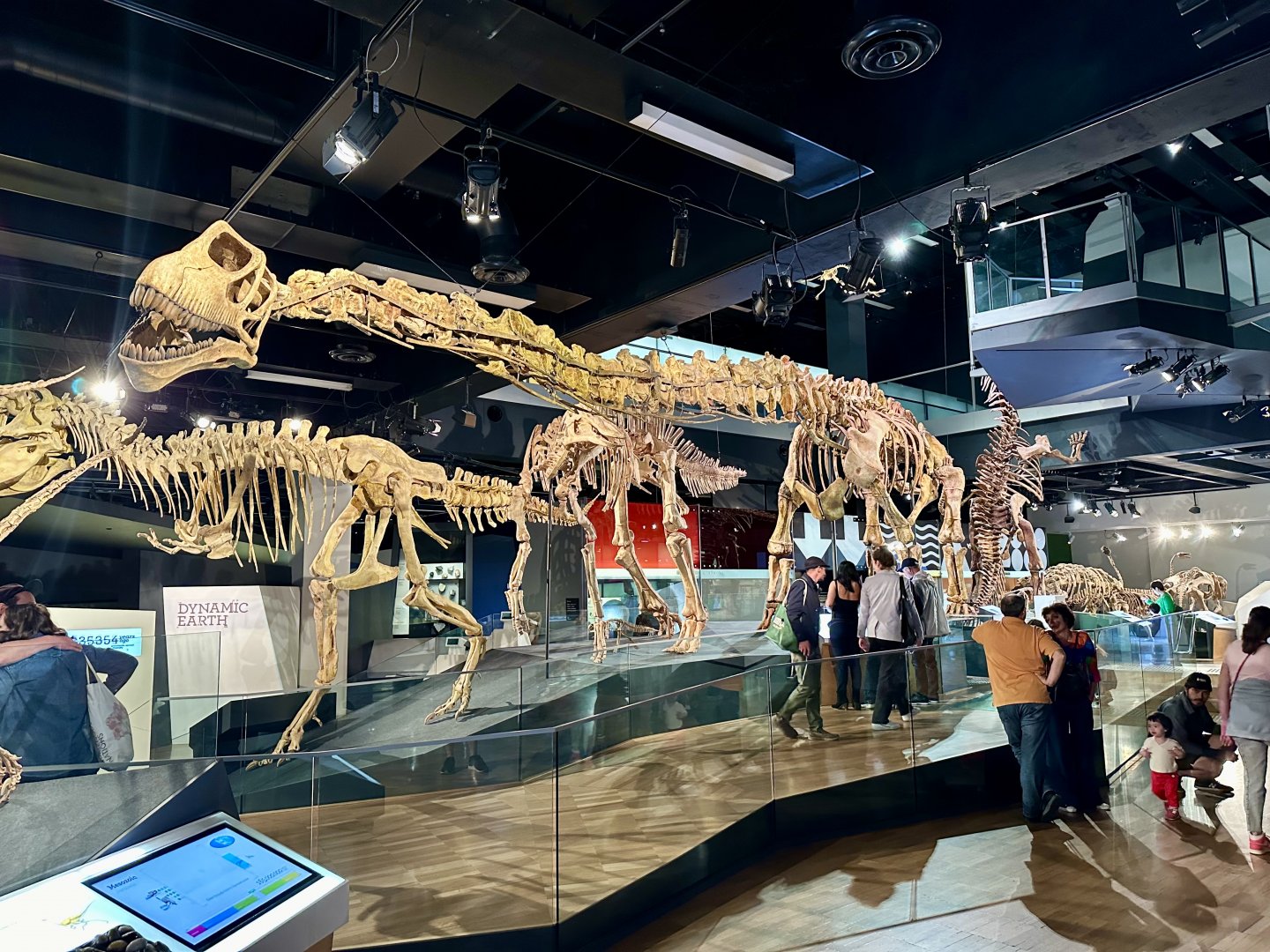 Mamenchisaurus constructus