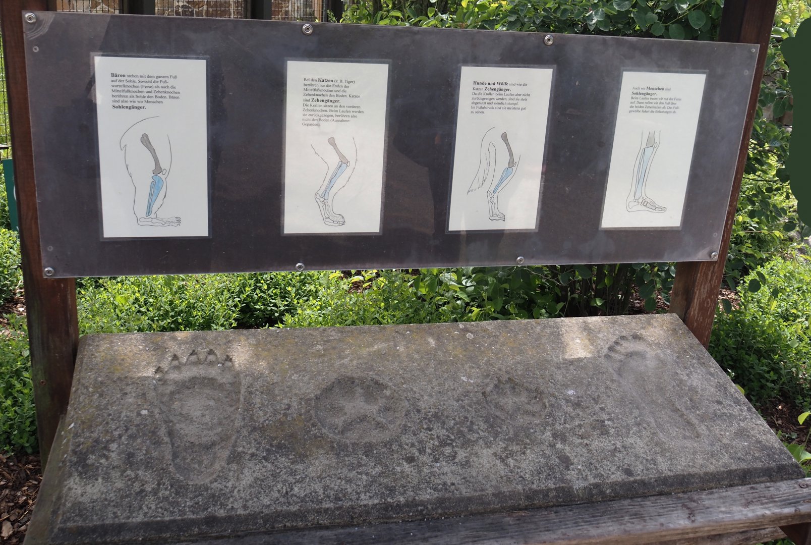 Mammal locomotion signage, 2025-05-22