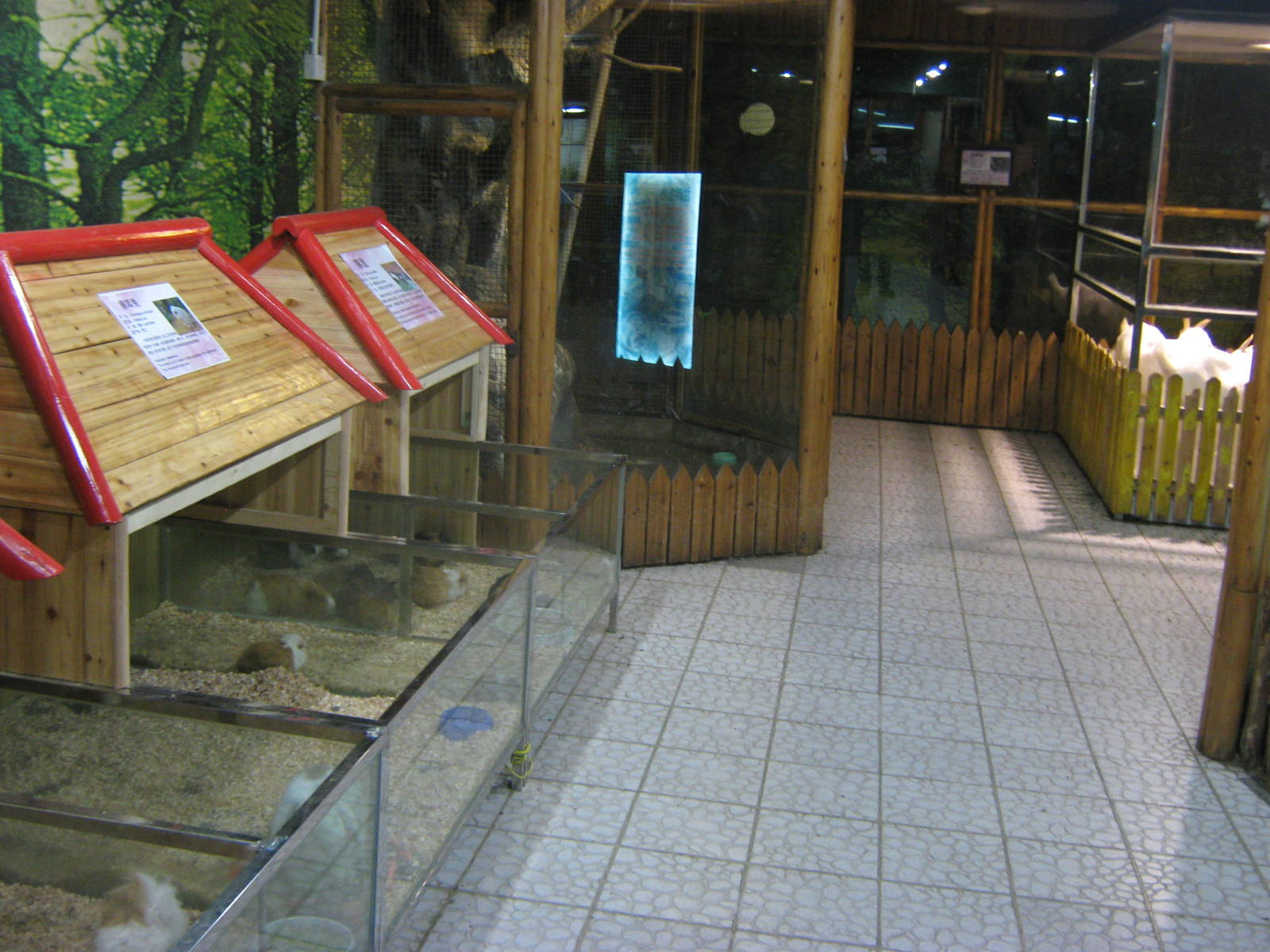 mammal section