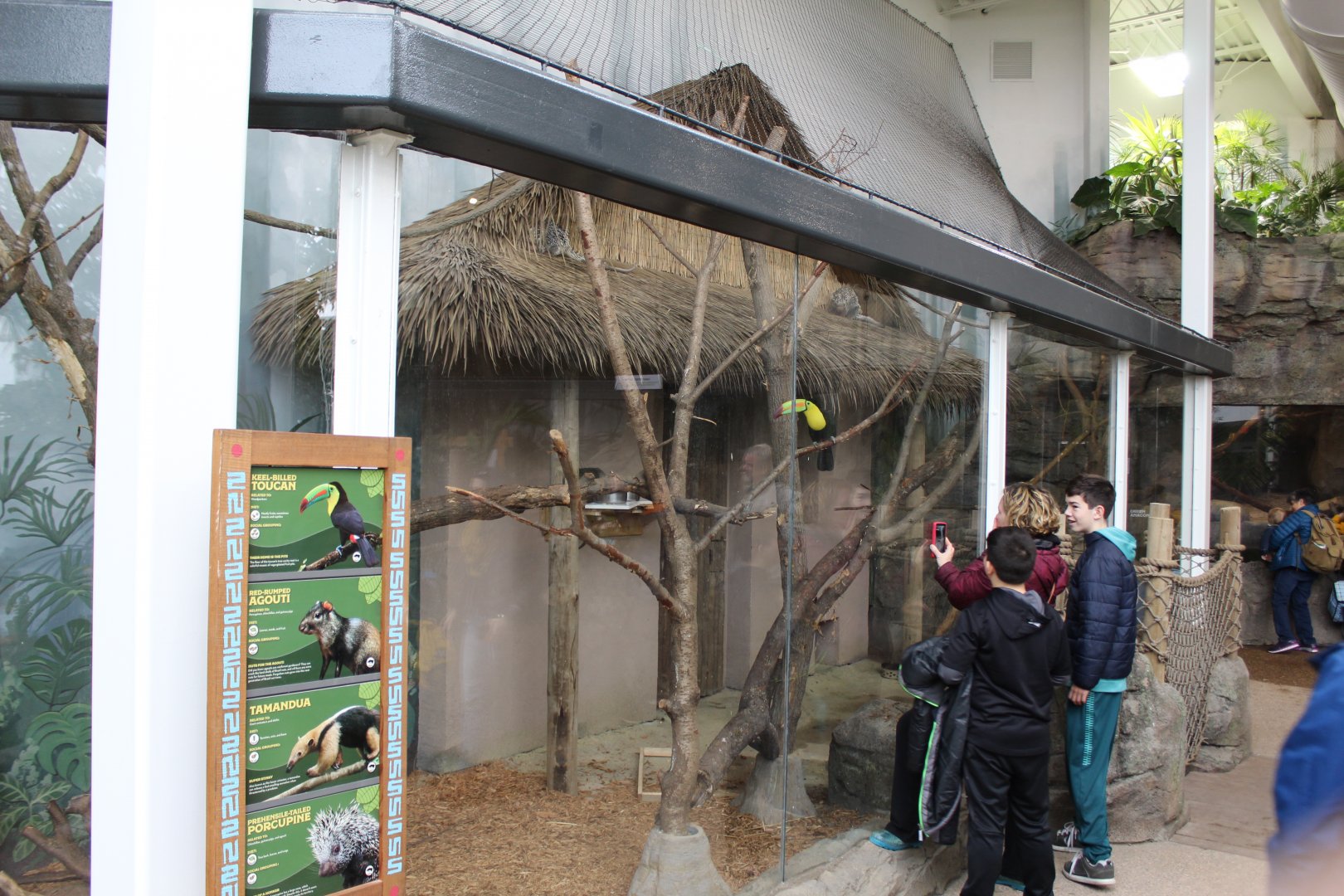 Mammal & Toucan Enclosure