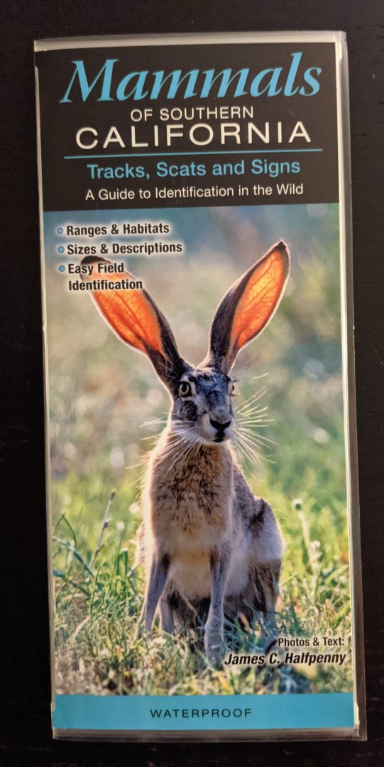 Mammals of Southern California