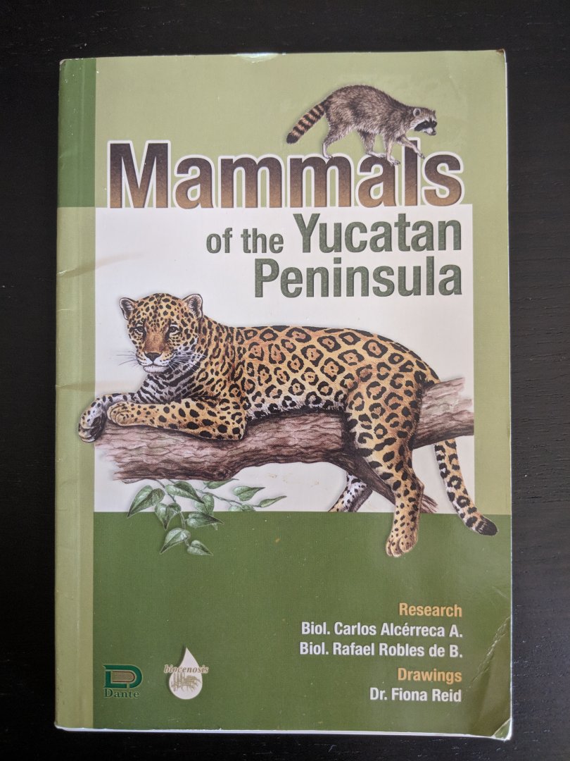 Mammals of the Yucatan Peninsula