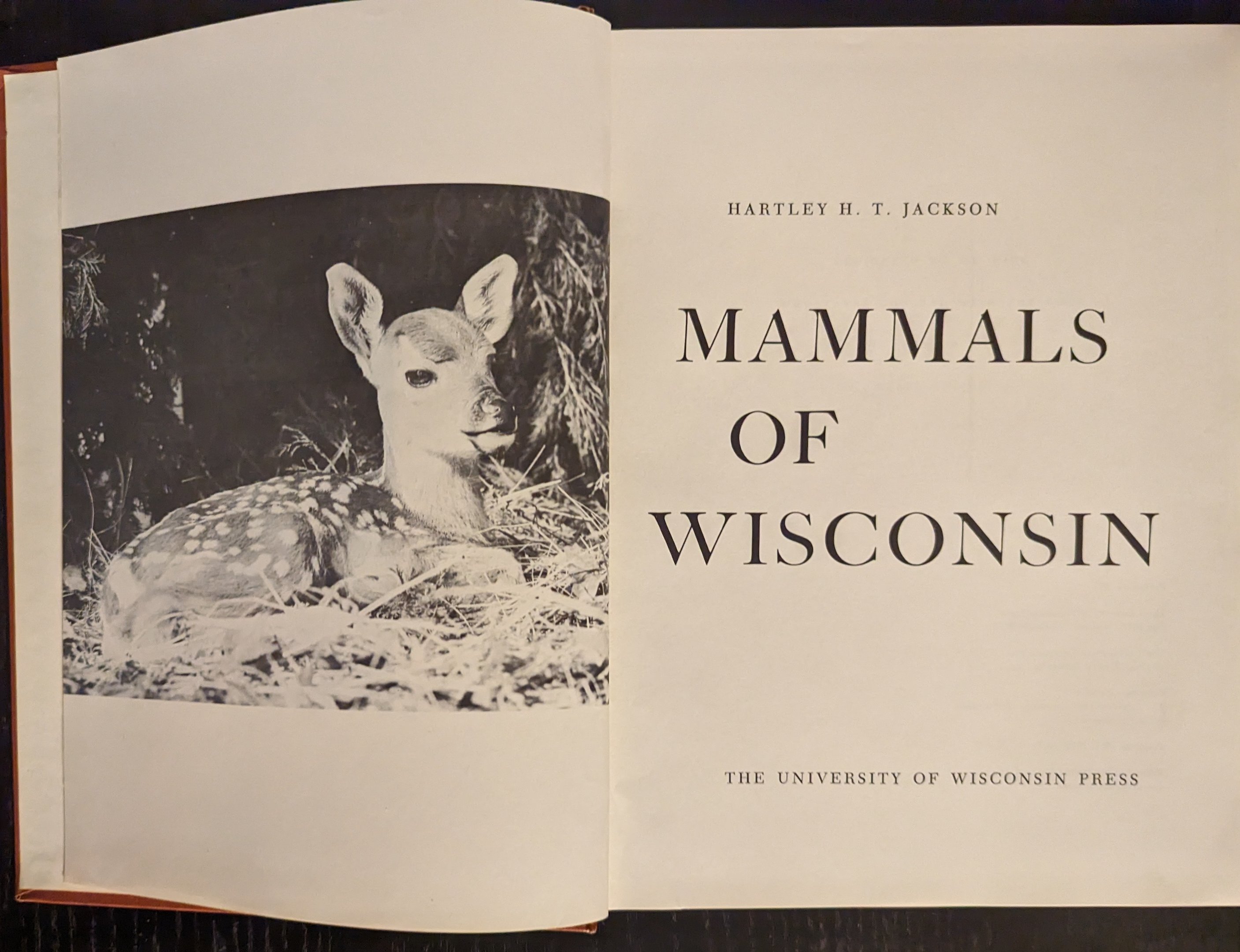 Mammals of Wisconsin