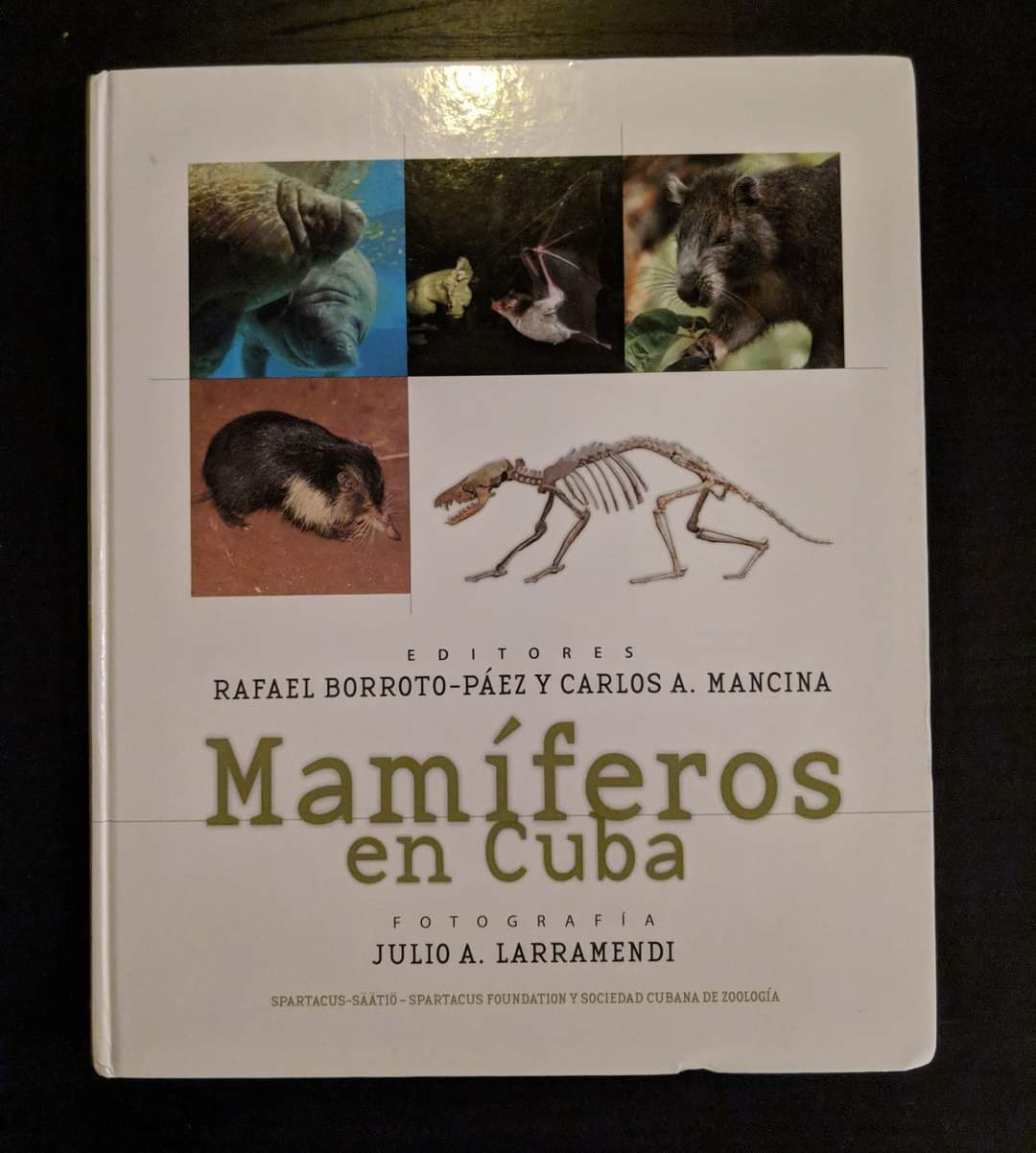 Mammiferos en Cuba