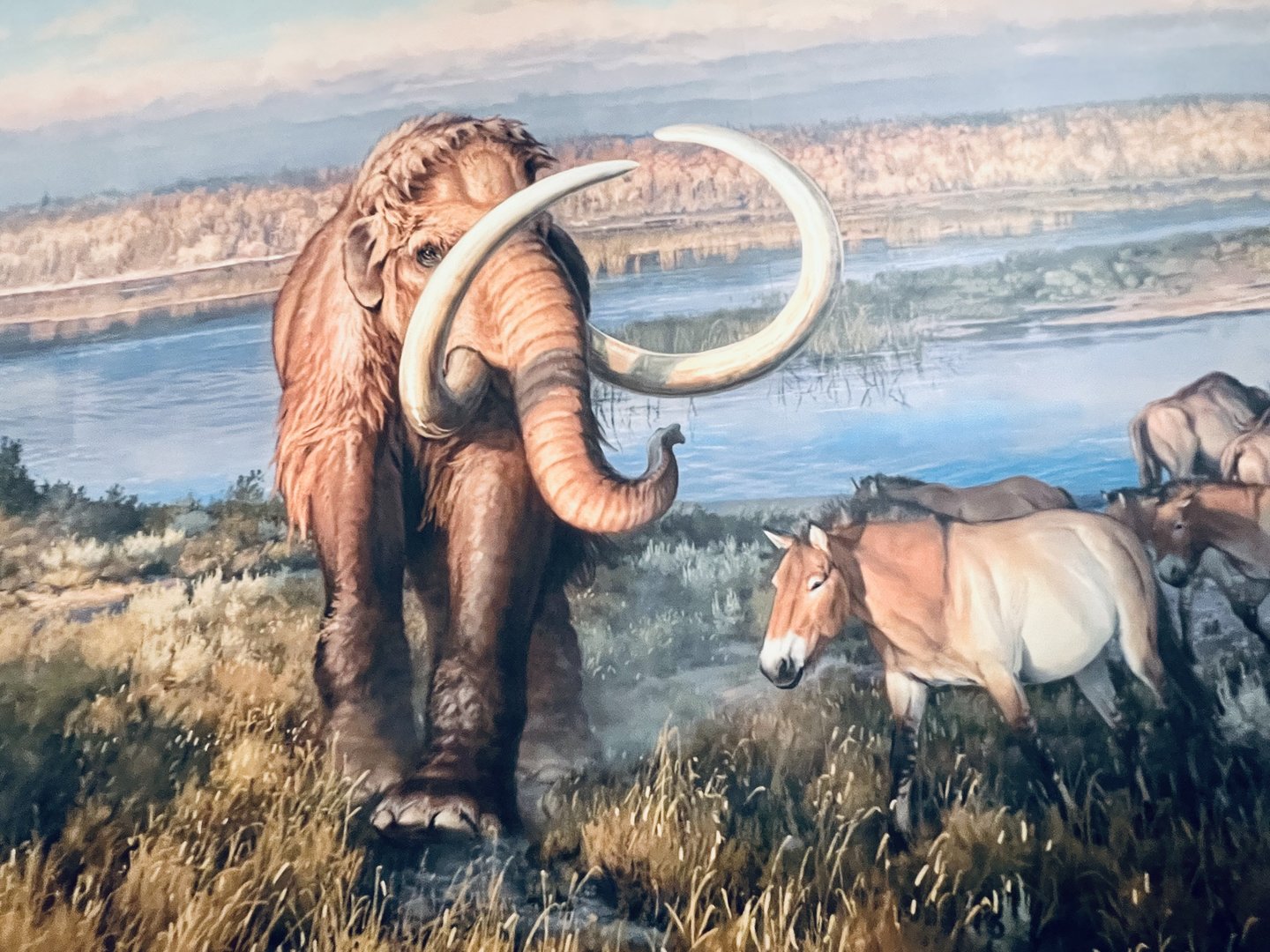 Mammoth and Horse