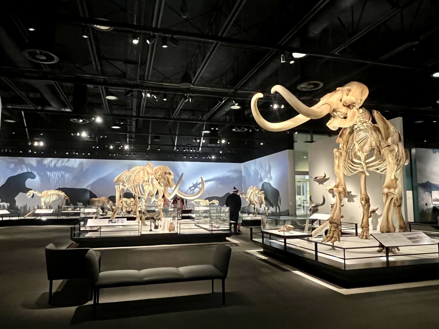 Mammoth and Mastadon