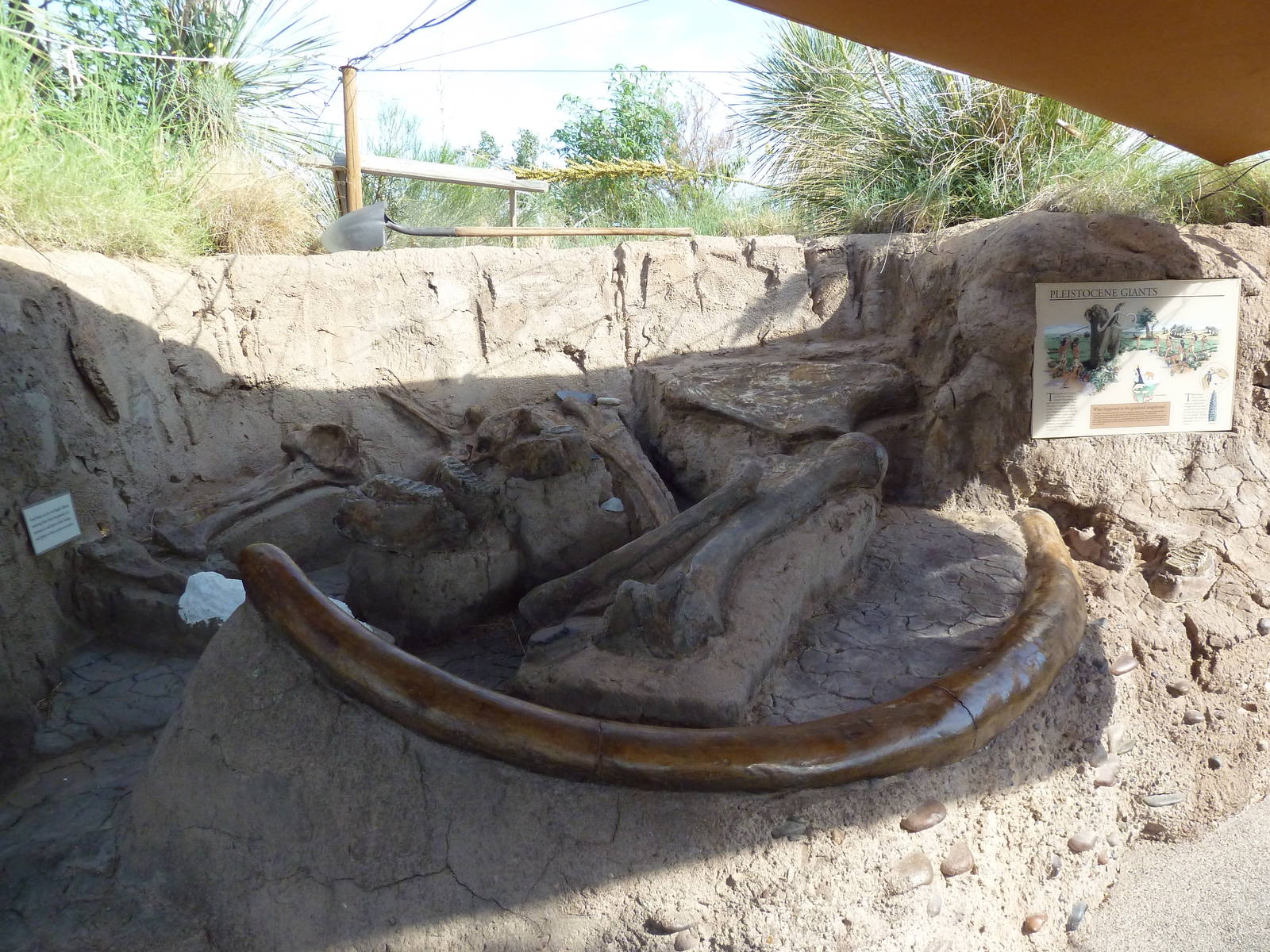 Mammoth Dig Site