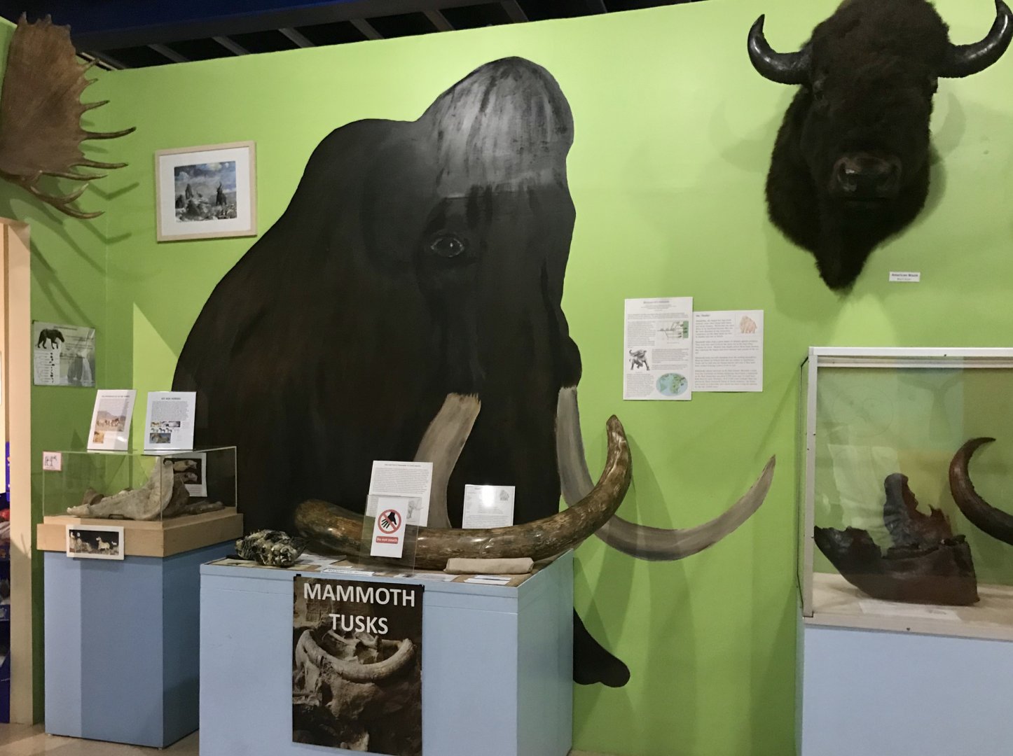 Mammoth Display