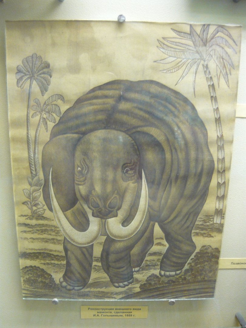 Mammoth early reconstruction