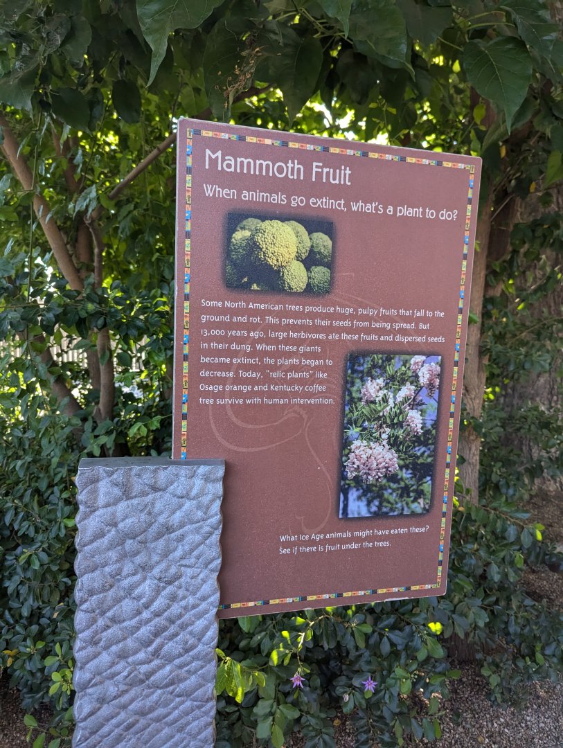 Mammoth Fruit Sign in Elephant Odyssey