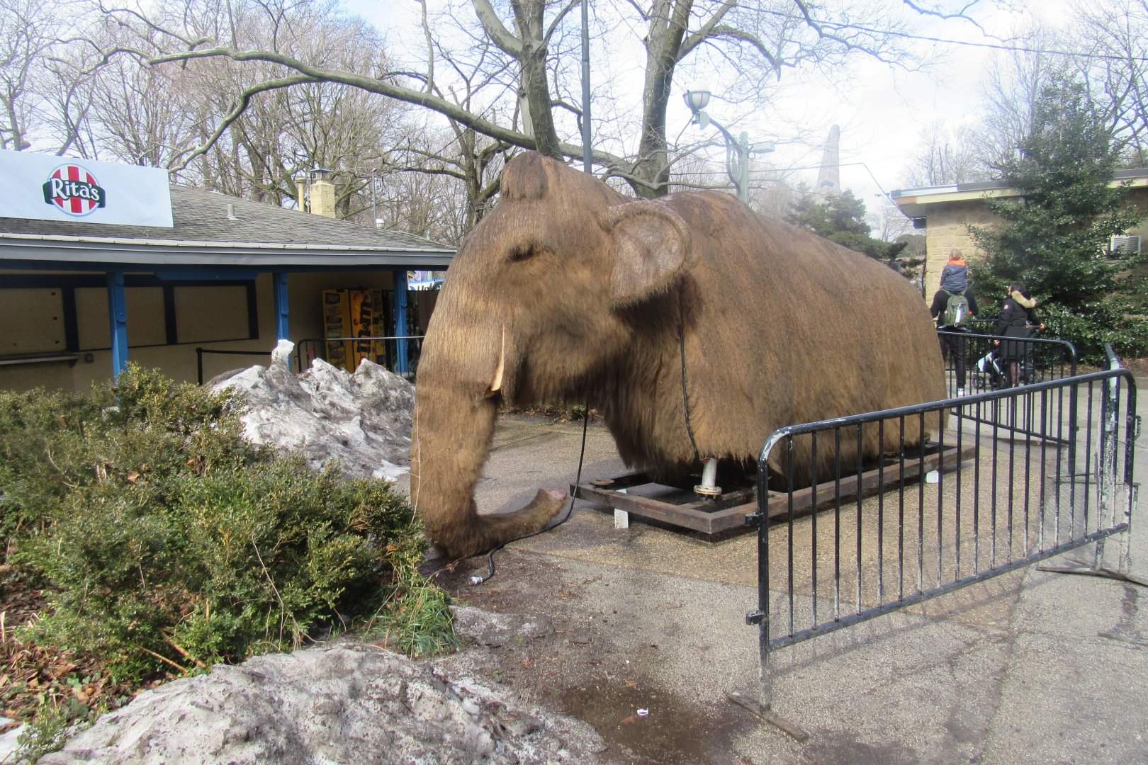 Mammoth missing some legs