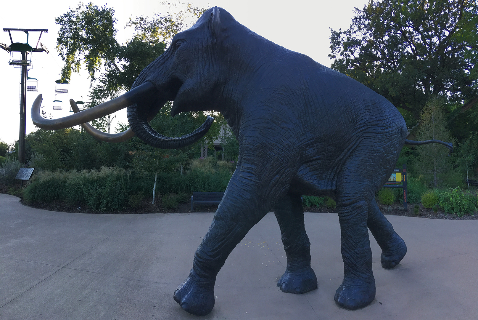 Mammoth Plaza Archie At Sunset