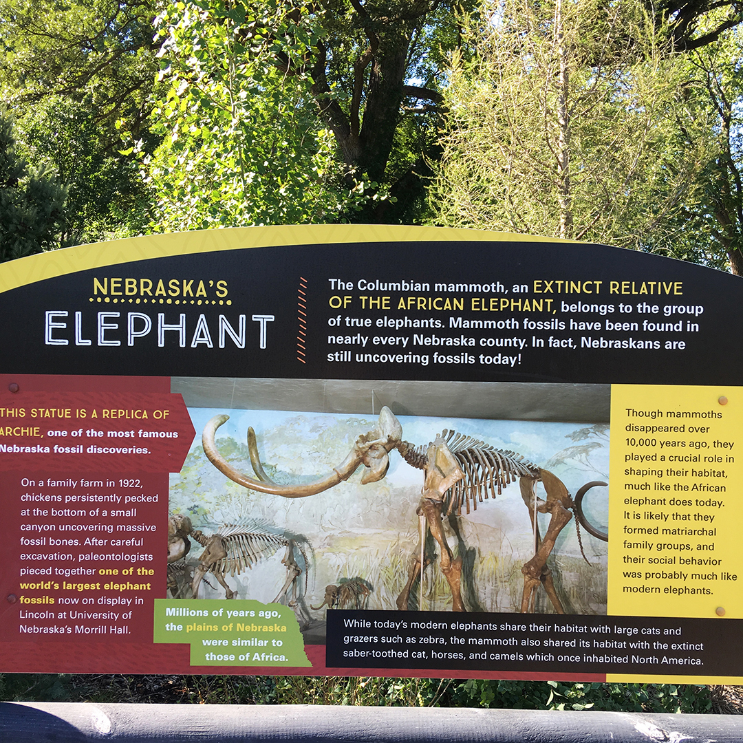 Mammoth Plaza Archie Label