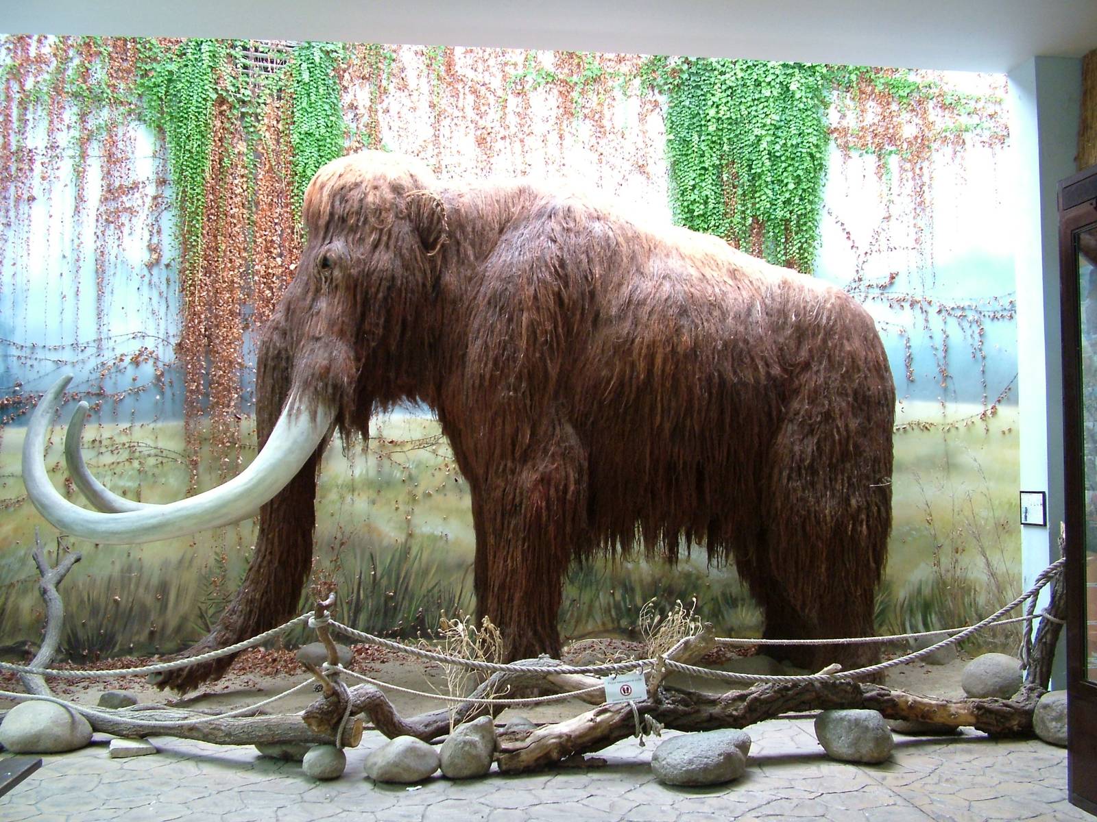 Mammoth Sculpture at Dvur Kralove, 27/08/12