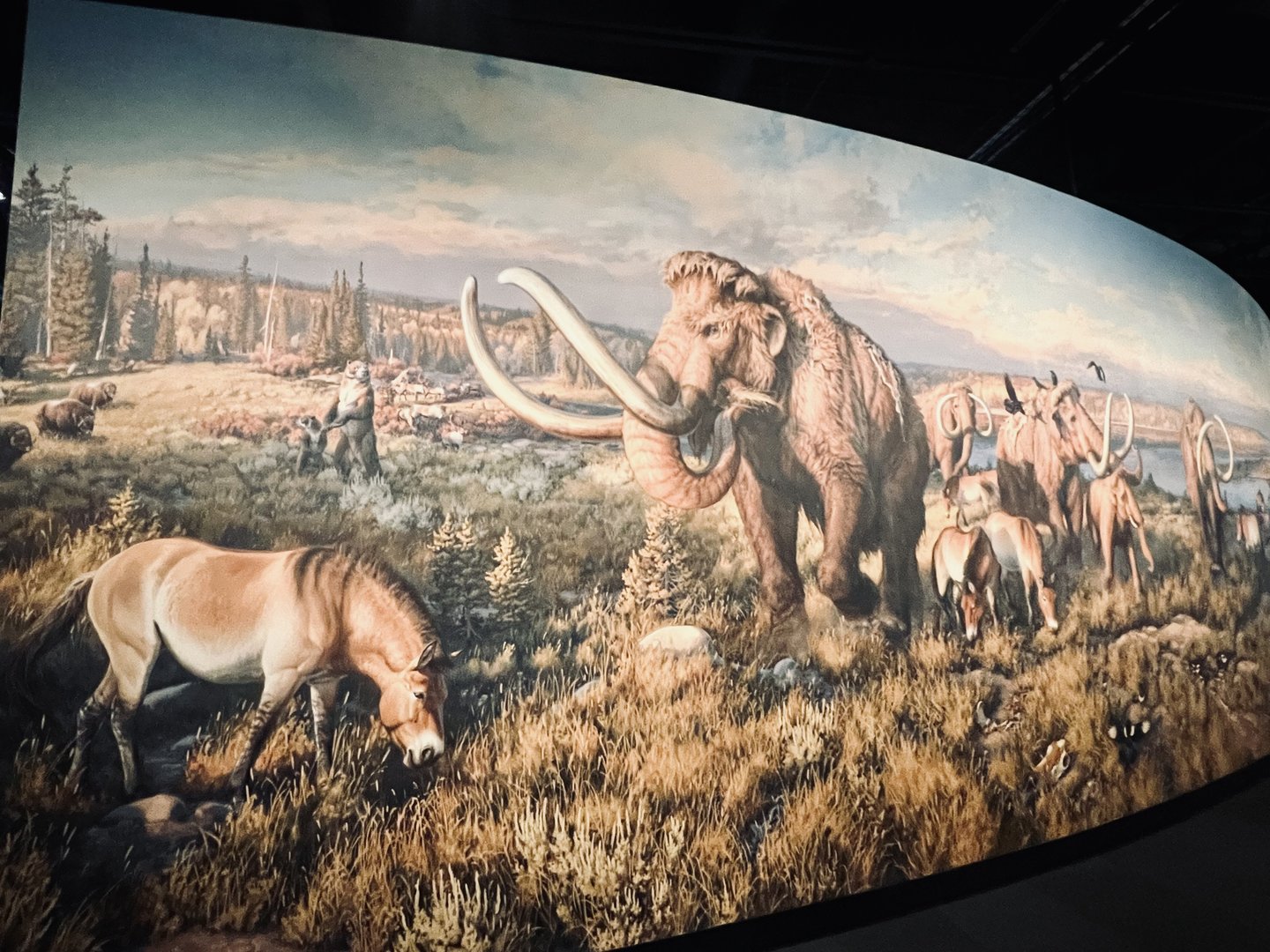 Mammoths and Horses