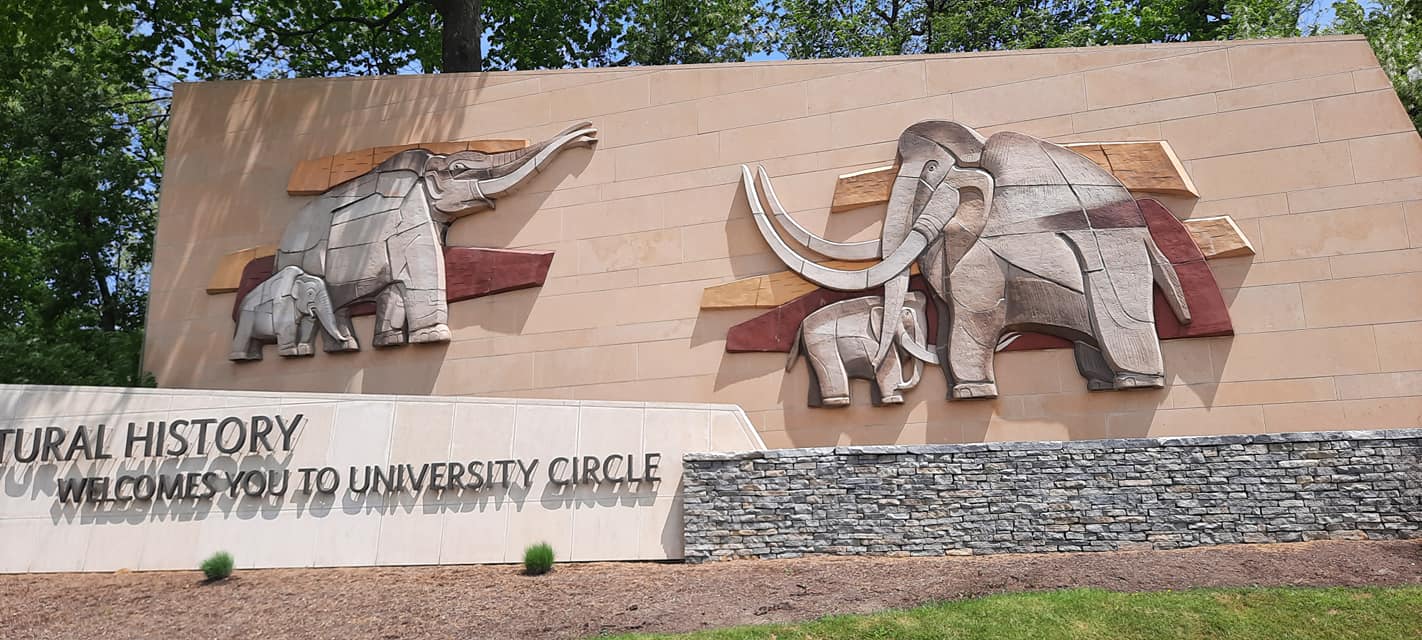 Mammoths and Mastodons