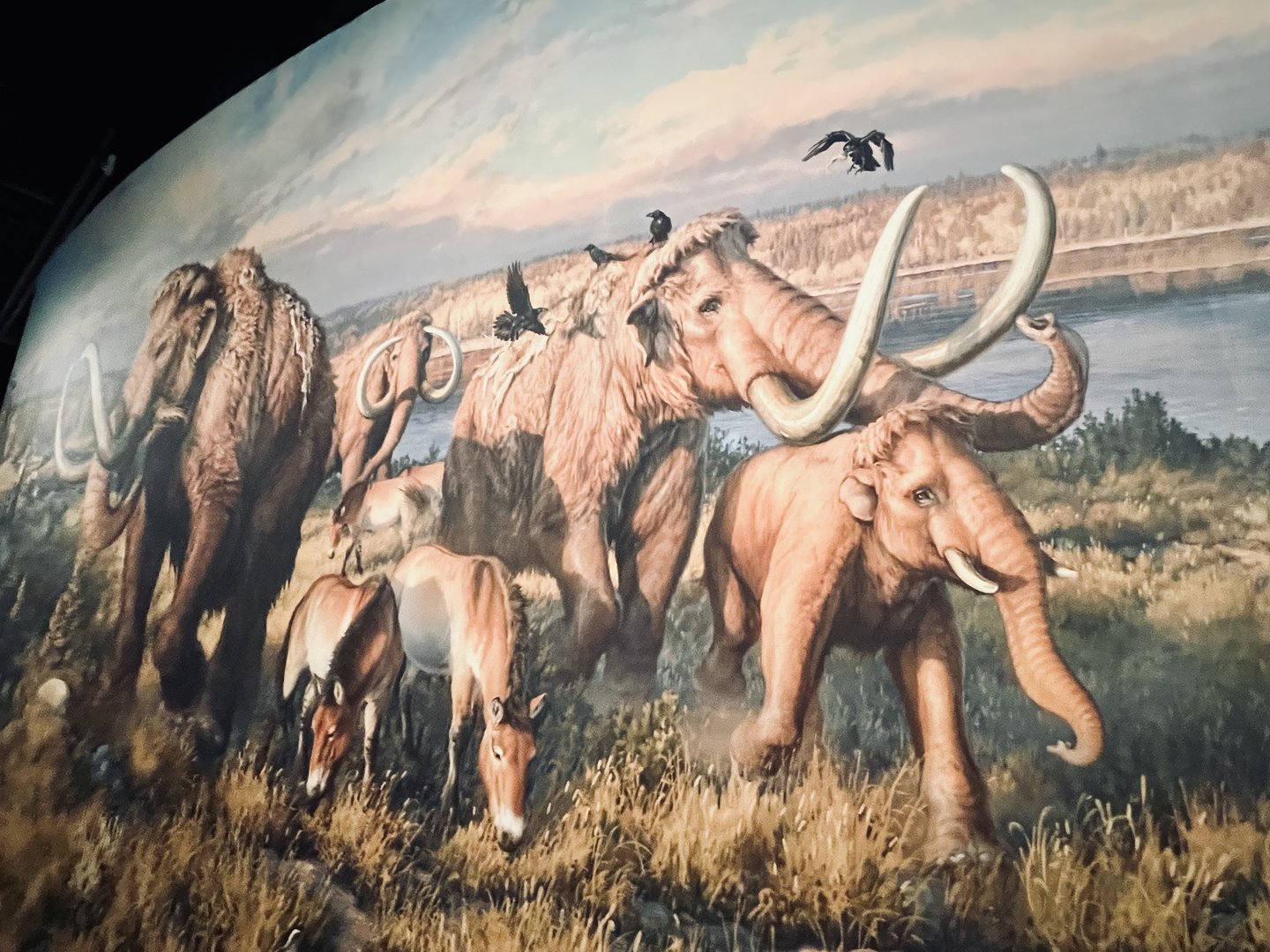 Mammoths and Ravens - Appropriate as Ravens are Feathered Memory