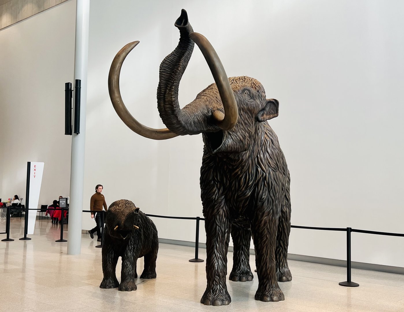 Mammoths that greet guests