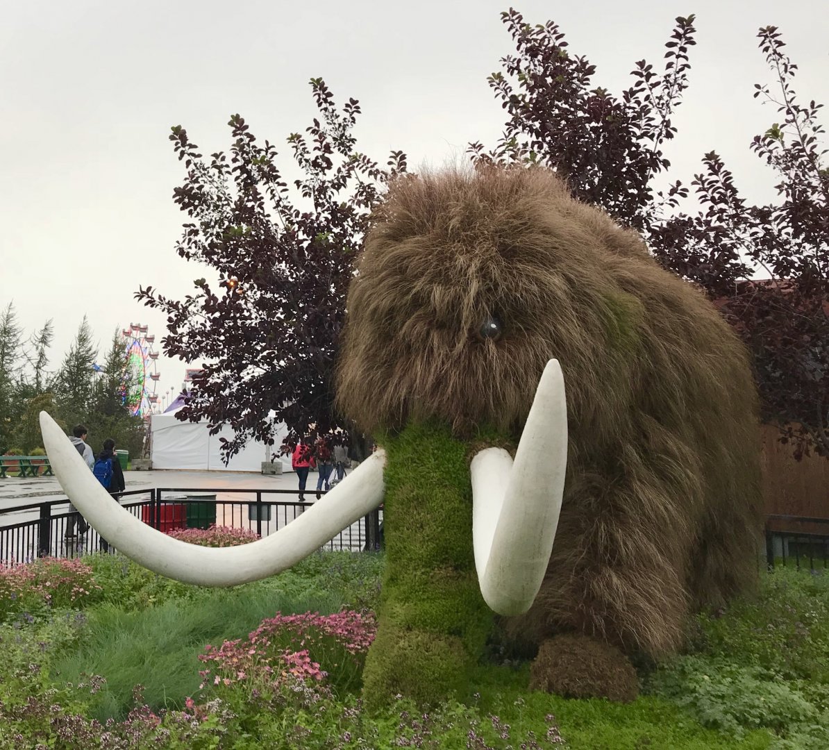 Mammuthus Hortuspulcher - Alaska