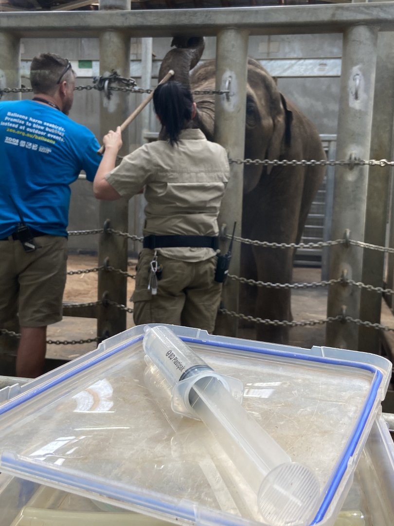 Man Jai training session