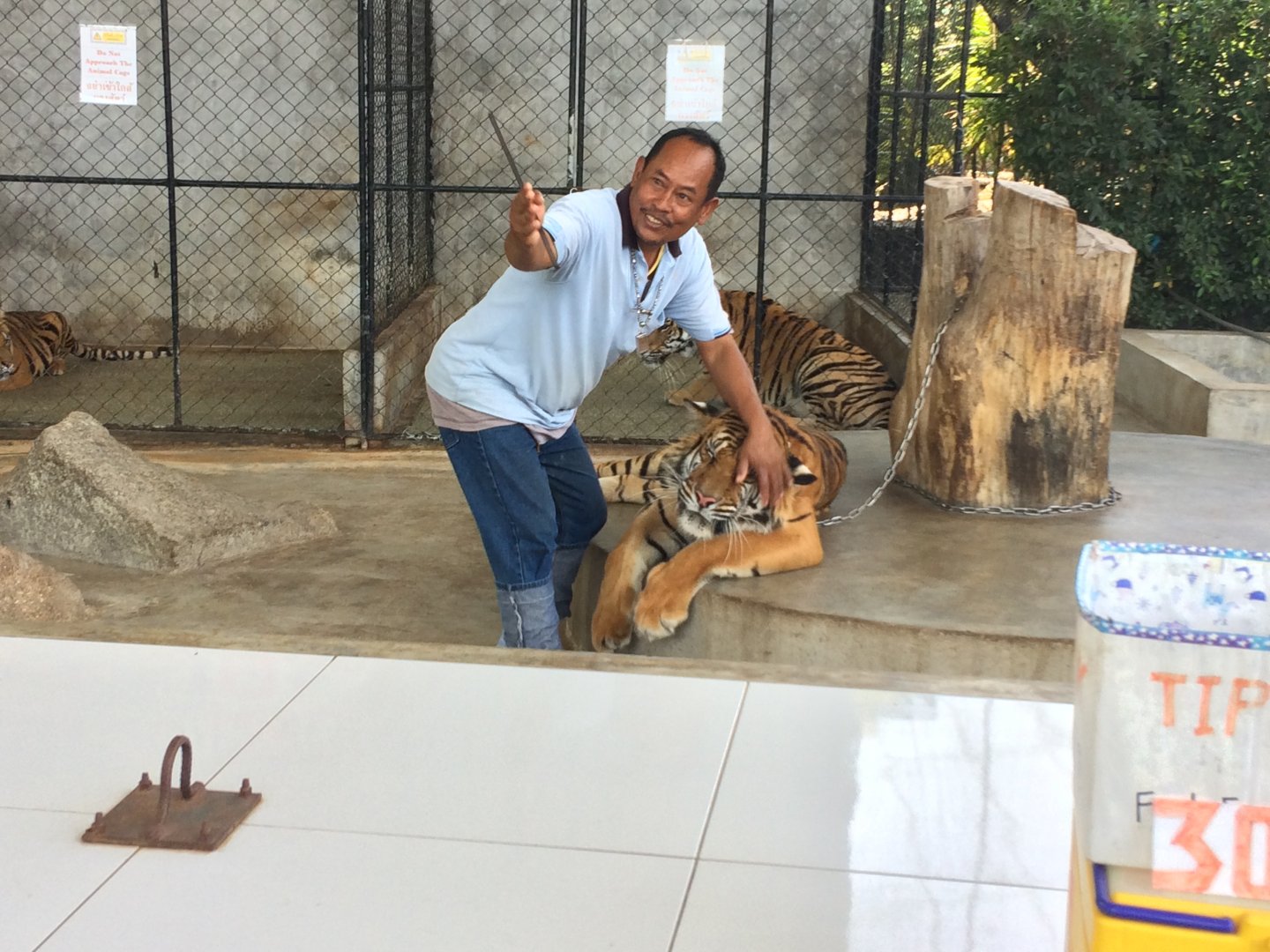 Man with Tiger