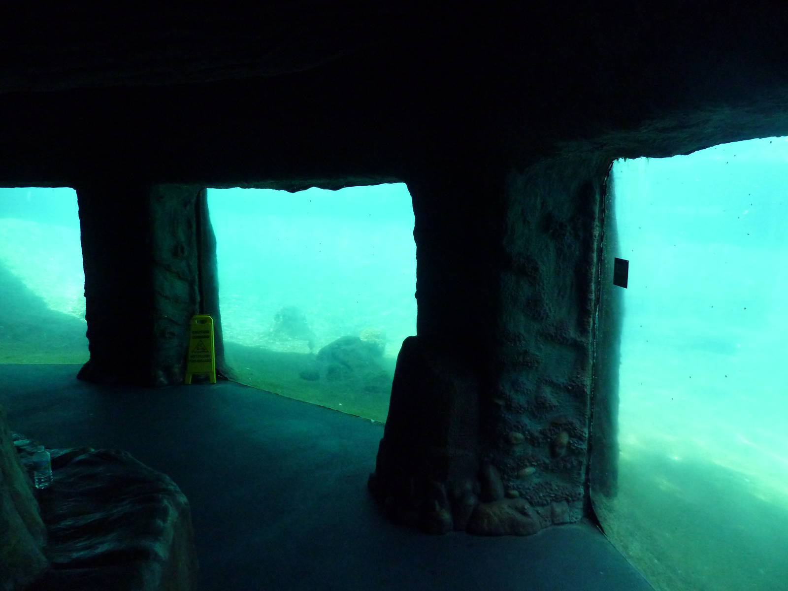 Manatee + Aquatic Center