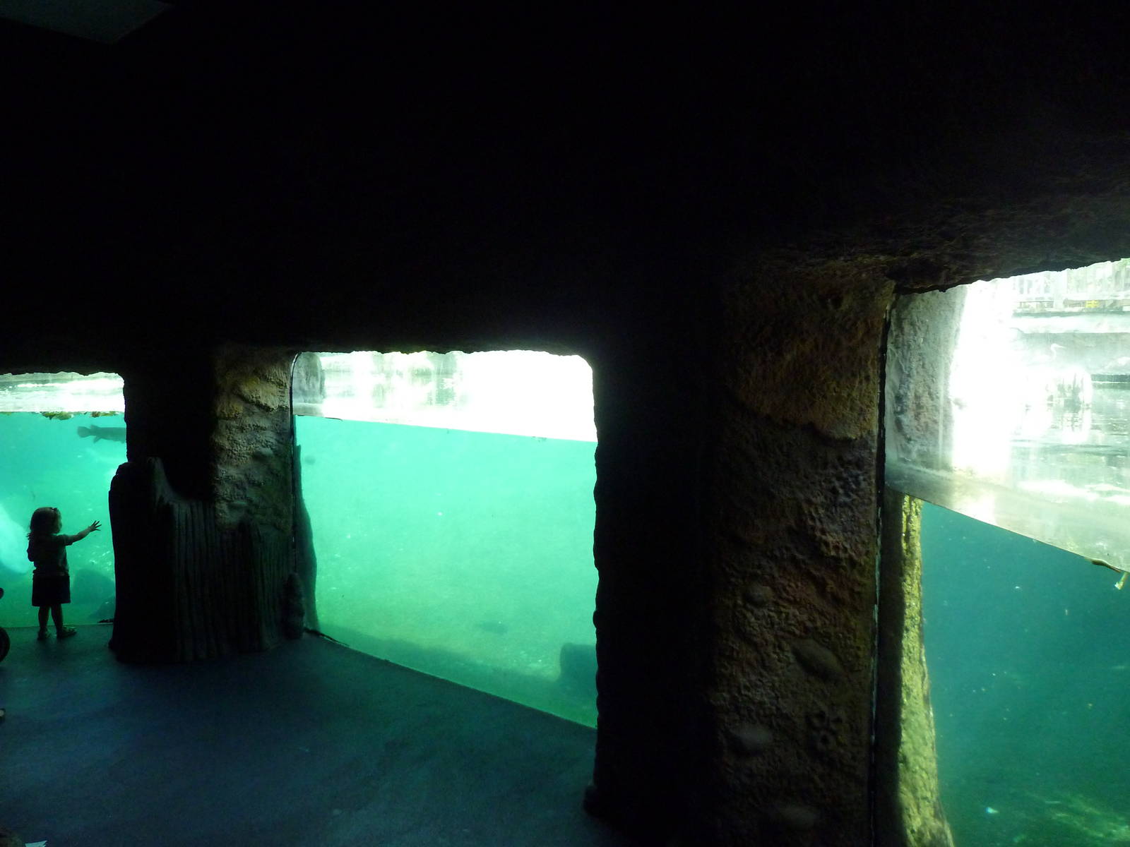 Manatee + Aquatic Center