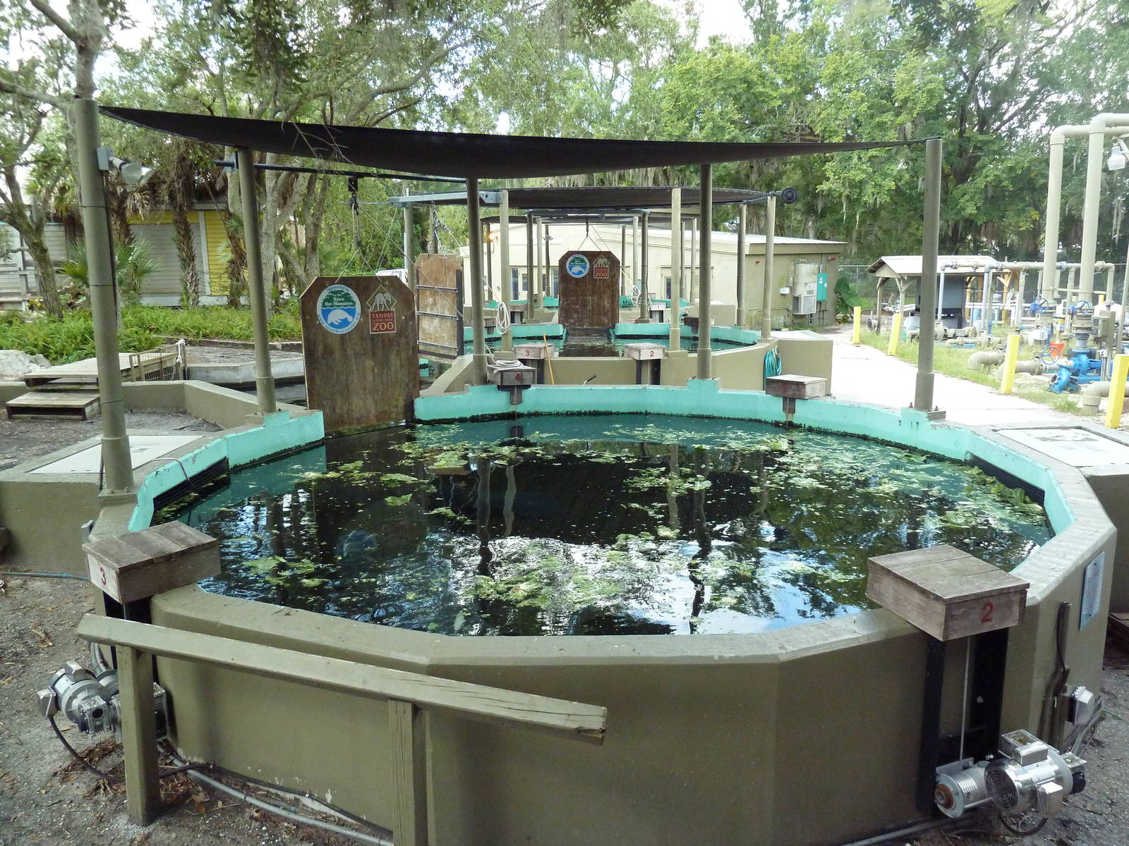 Manatee + Aquatic Center