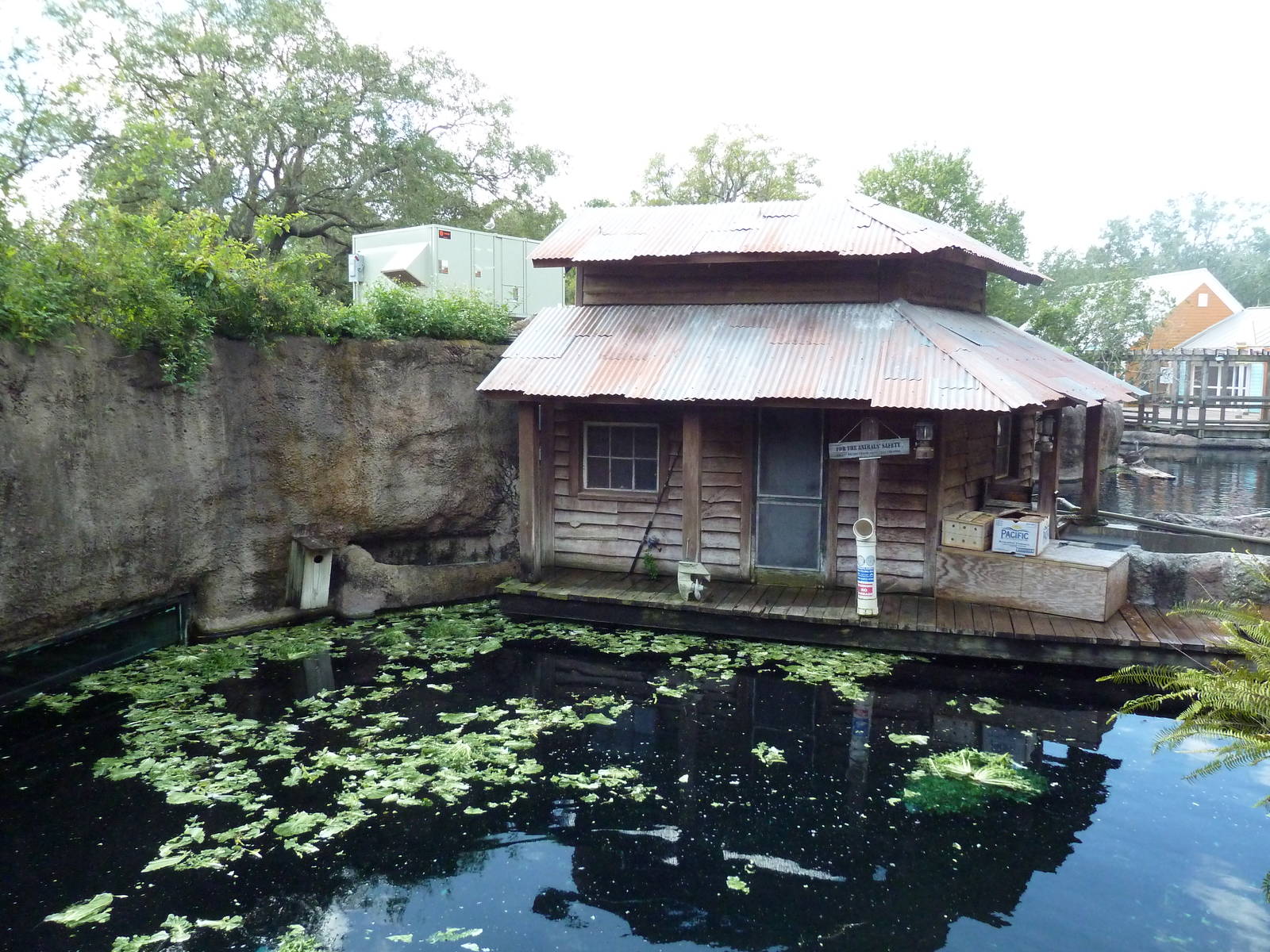 Manatee + Aquatic Center