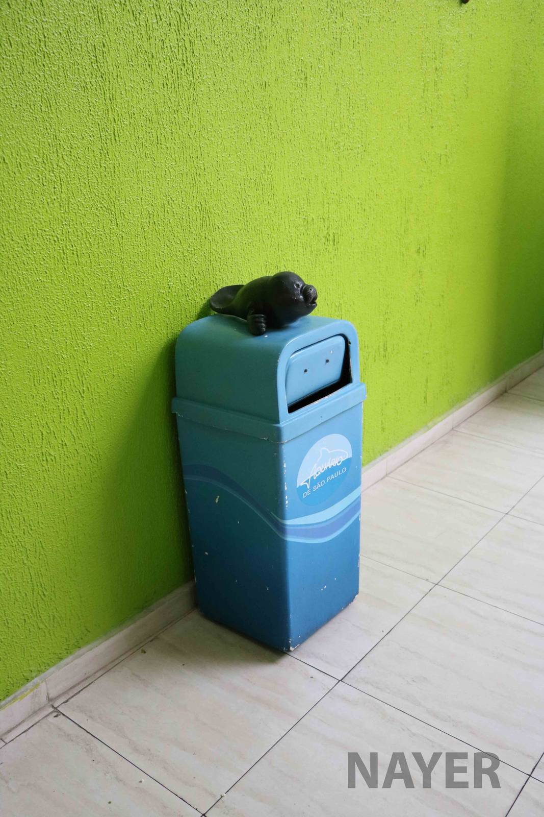 Manatee bin, April 2016