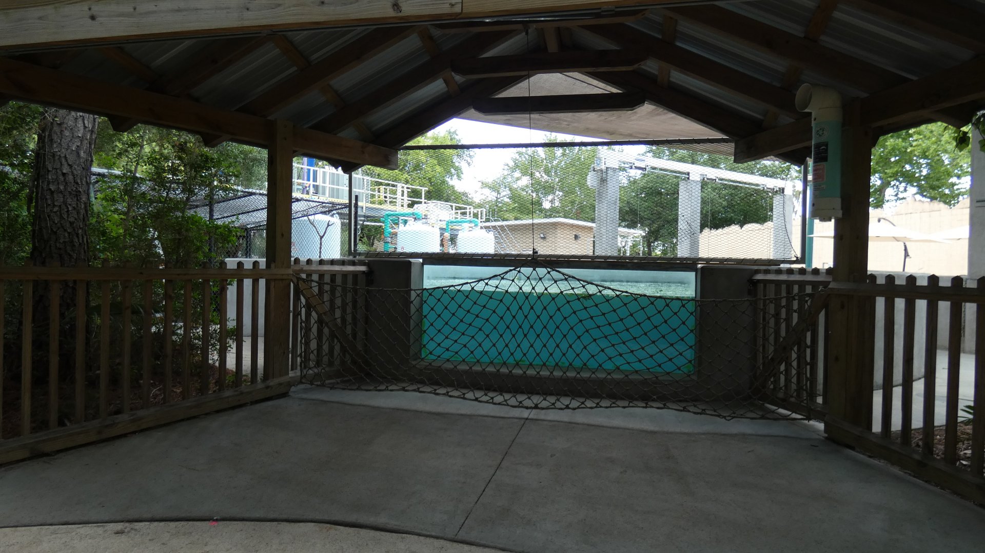 Manatee Critical Care Center, Wild Florida - June 2022