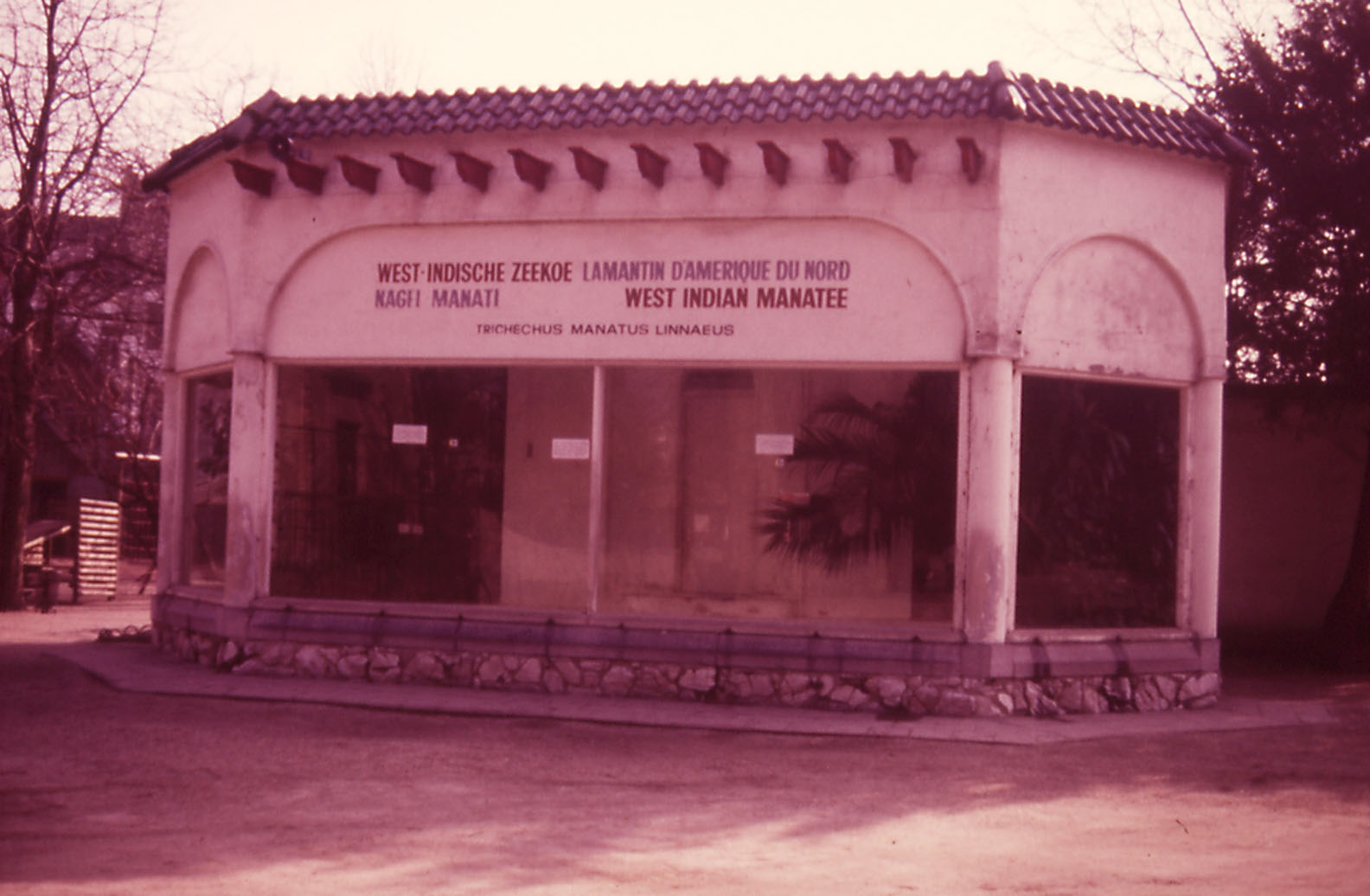Manatee enclosure - 1984
