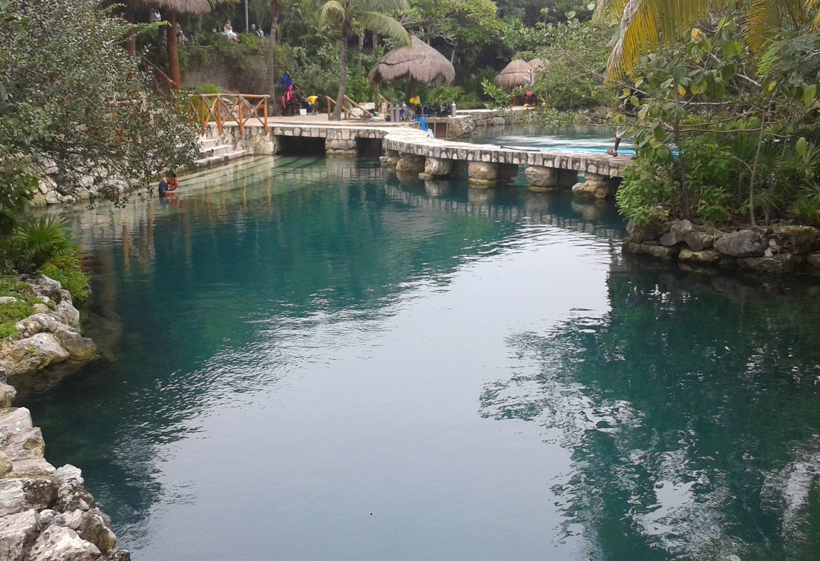 Manatee enclosure