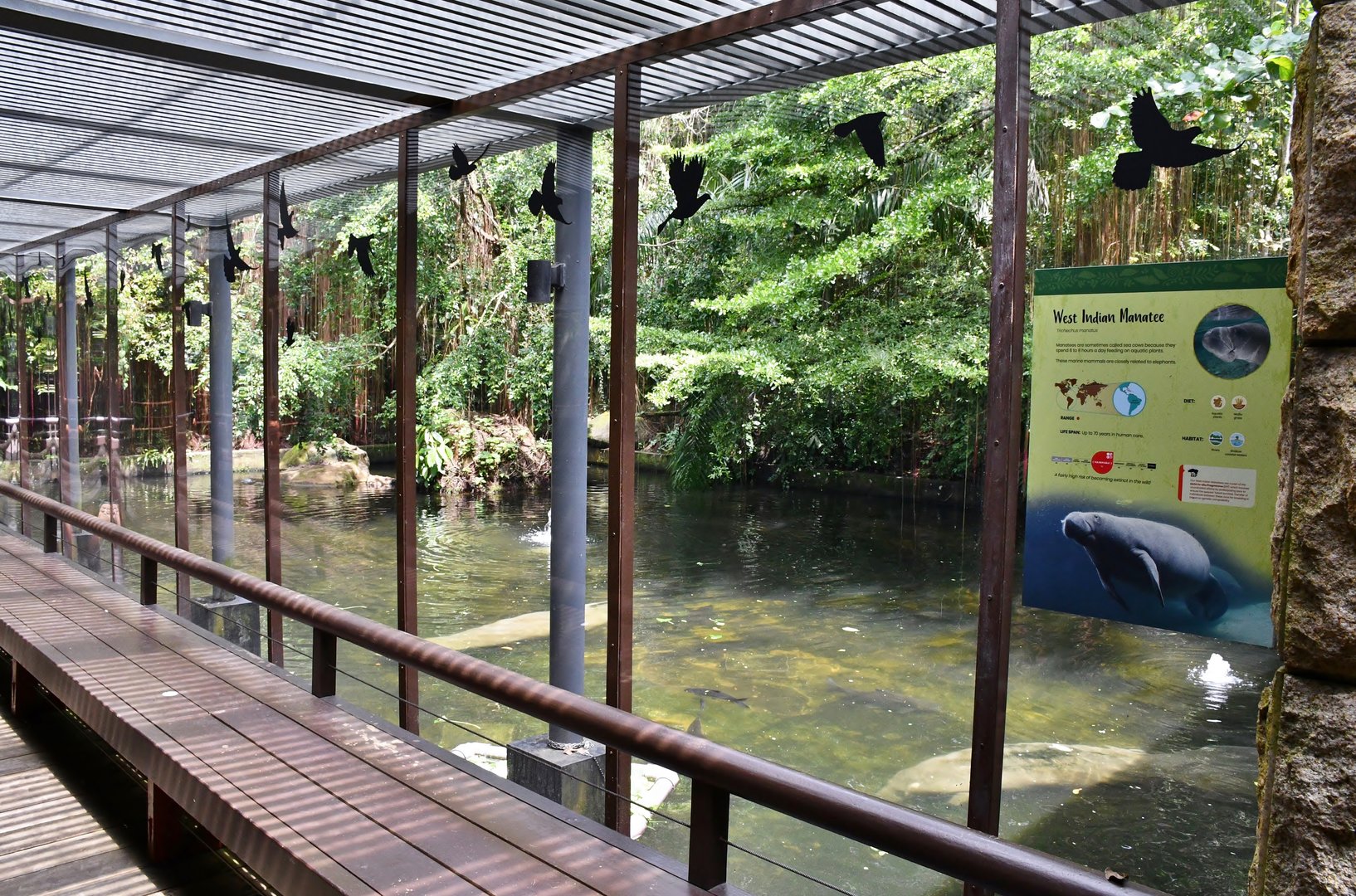 Manatee enclosure