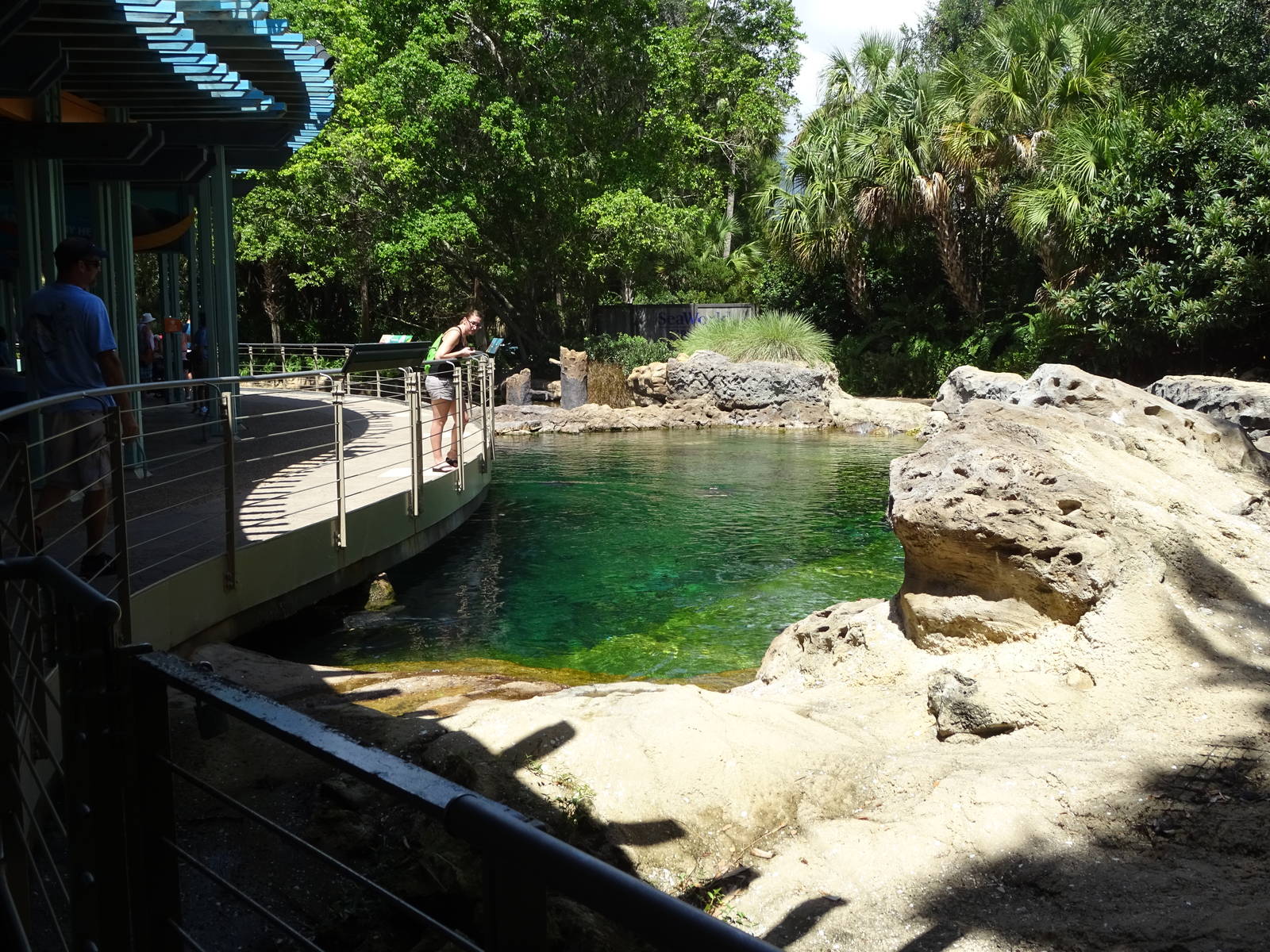 Manatee Exhibit From Above at SeaWorld Orlando