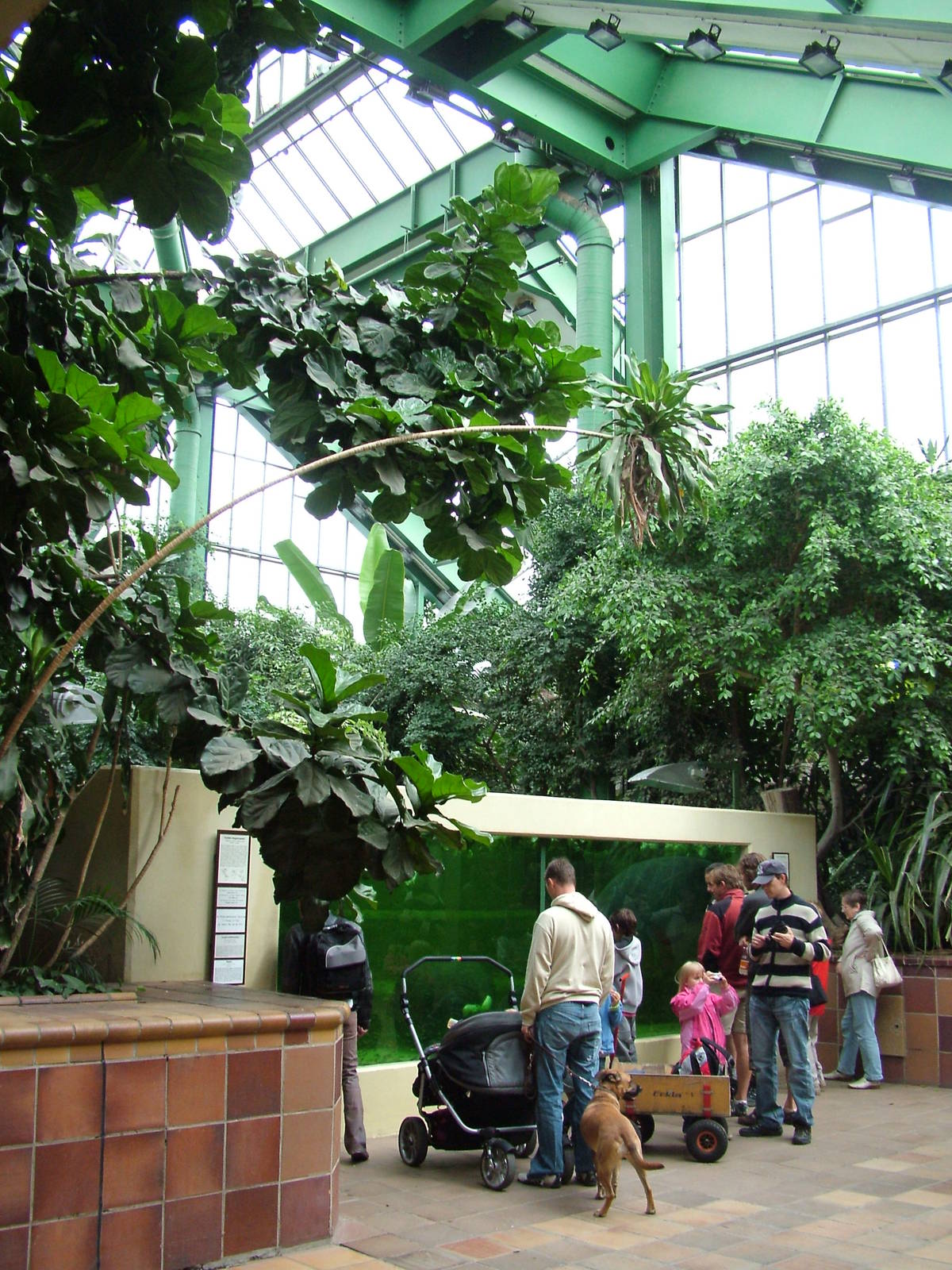 Manatee Exhibit Viewing at Tierpark Berlin, 30/08/11
