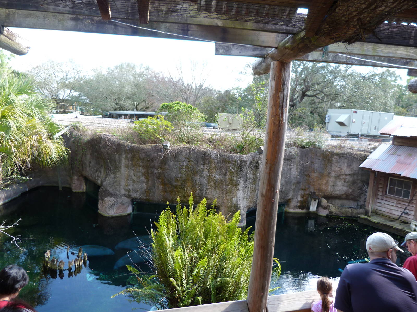 Manatee Exhibit