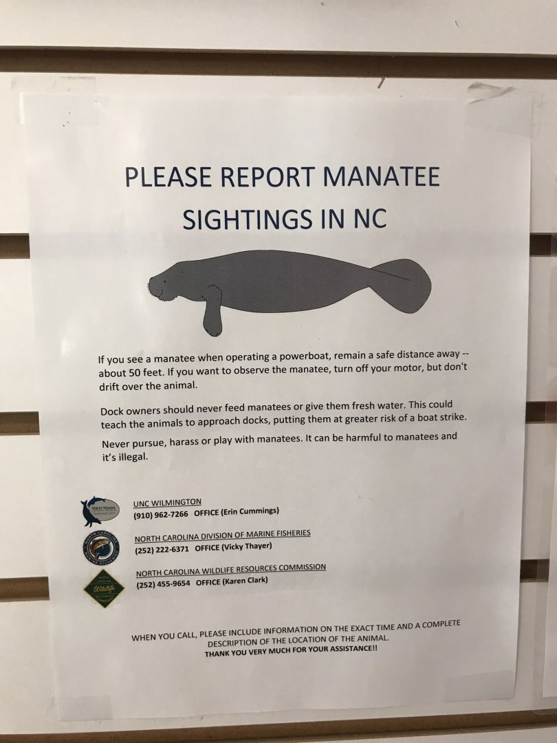 Manatee Flyer at Southport Ferry Terminal, NC