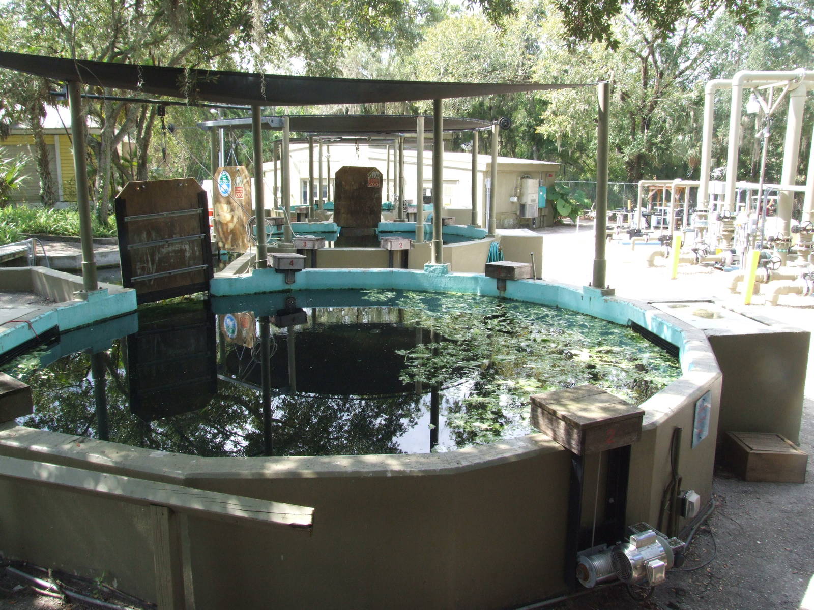 Manatee Hospital at Lowry Park, 13/10/13