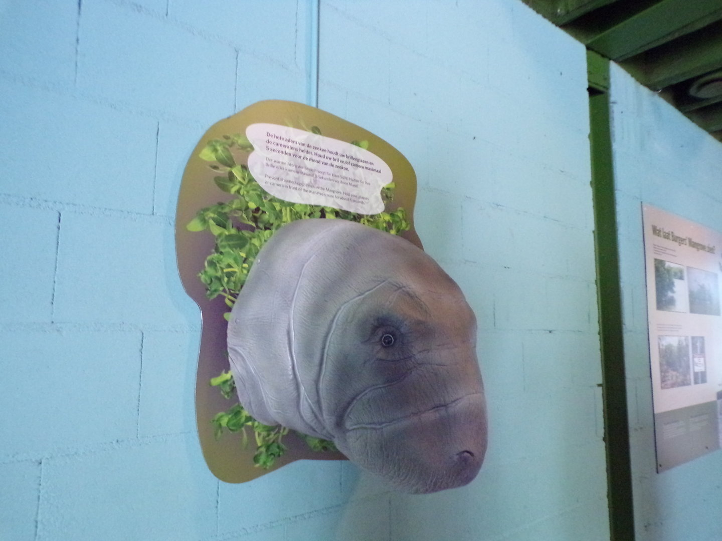 Manatee hot air blower 6.7.23