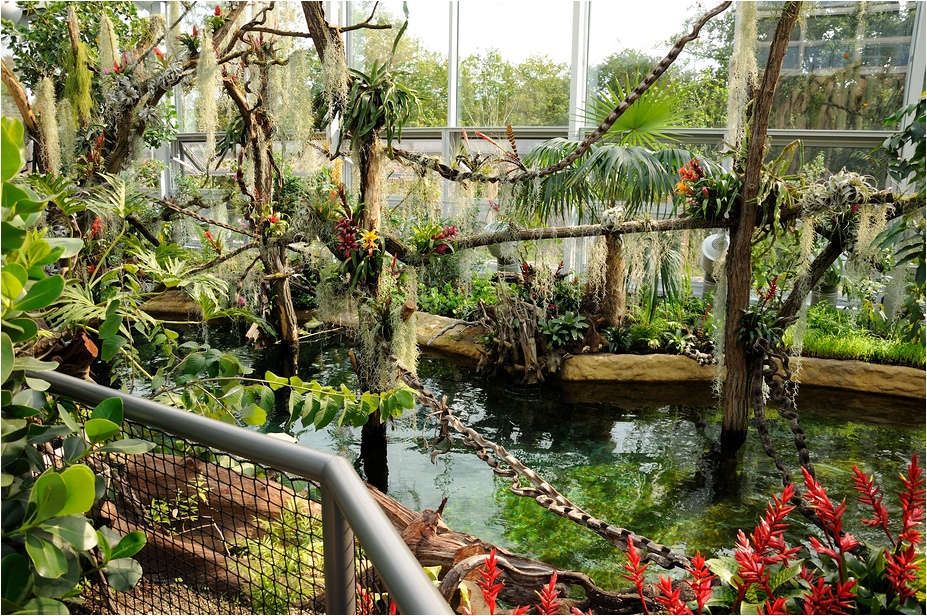 Manatee-house at Nürnberg