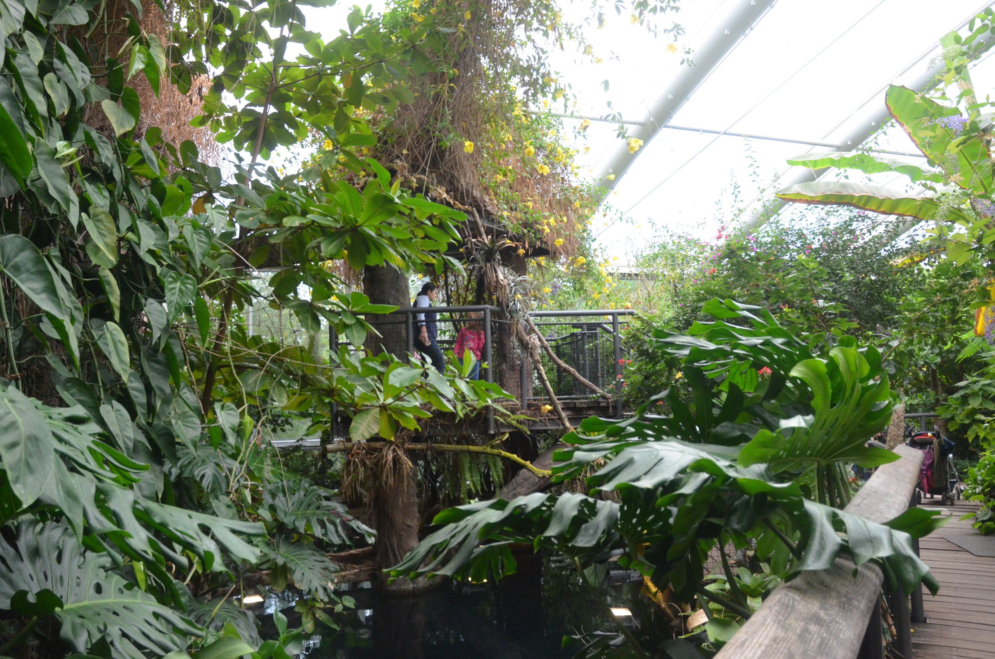 Manatee House Interior at Nuremberg, 08/09/19